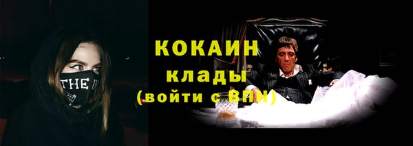 PSILOCYBIN Великий Новгород