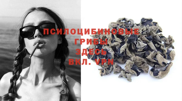 герыч Медногорск