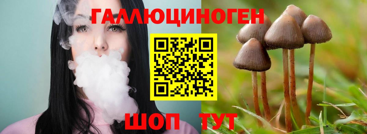 Клинцы  Галлюциногенные грибы MAGIC MUSHROOMS  Вход с VPN  Псилоцибиновые грибы Cubensis 