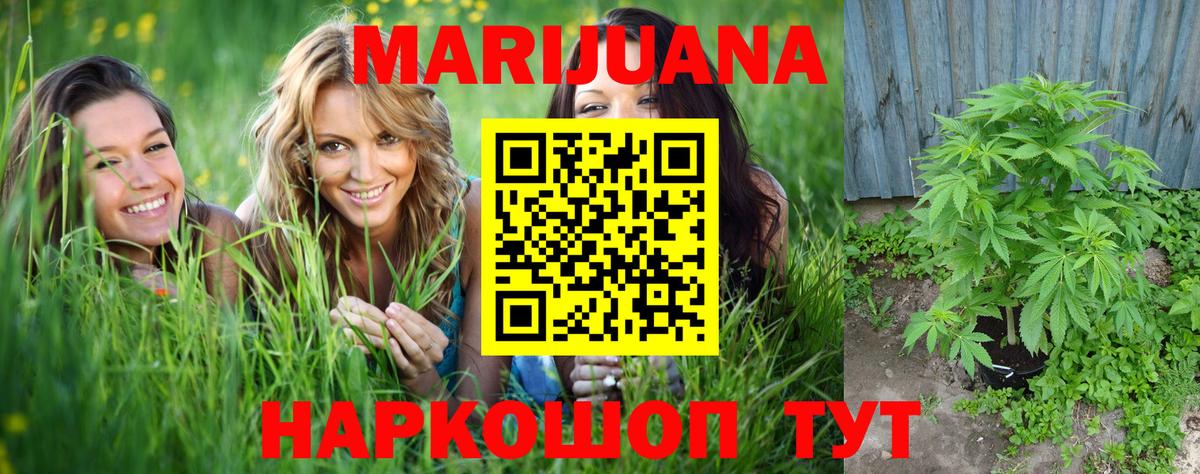 Конопля OG Kush  Вход с VPN  Клинцы  Канабис SATIVA & INDICA  Шишки марихуана план  Шишки марихуана ГИДРОПОН 